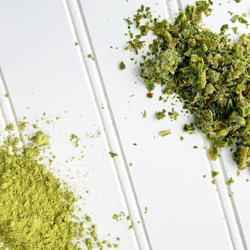 Why Fresh Leaves are Better than Matcha