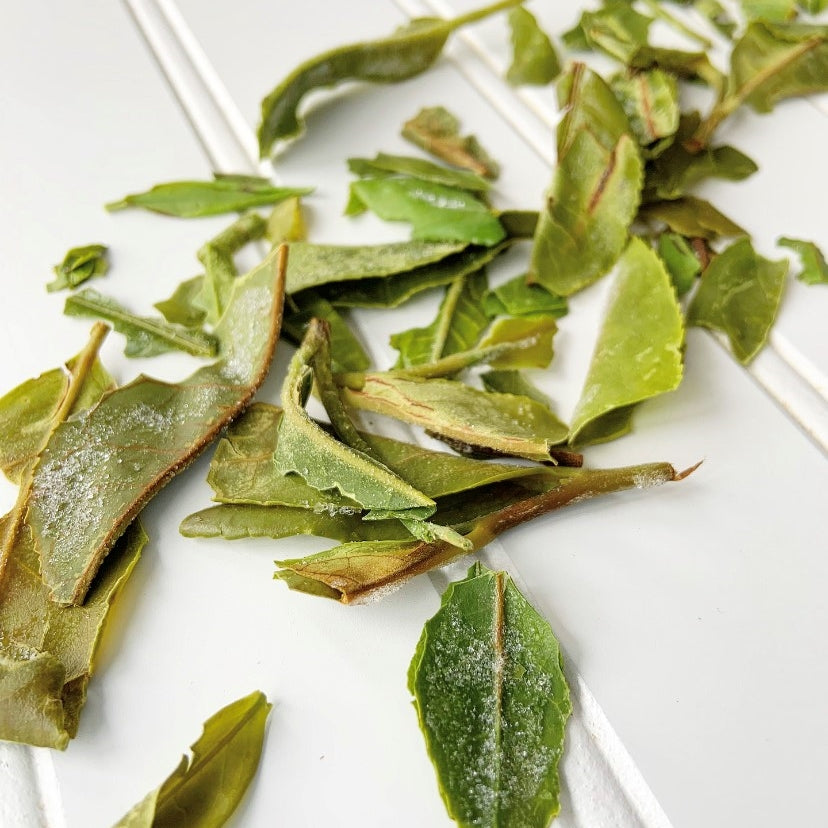 How Nutritious Are Tea Leaves?